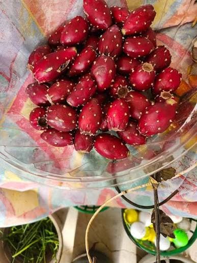Harvested prickly pear fruits—a Southwest food gift and prickly pear gift idea